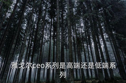  雅戈?duì)朿eo系列是高端還是低端系列