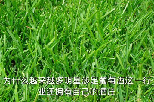 上海夢洛紅酒進(jìn)口