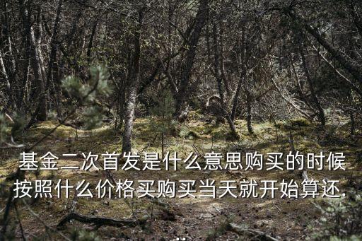  基金二次首發(fā)是什么意思購(gòu)買的時(shí)候按照什么價(jià)格買購(gòu)買當(dāng)天就開始算還...