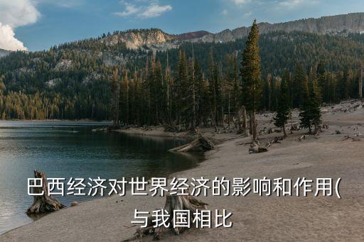 巴西投資風(fēng)險,投資風(fēng)險三大指標(biāo)是什么