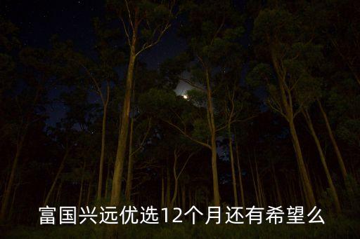  富國興遠(yuǎn)優(yōu)選12個(gè)月還有希望么