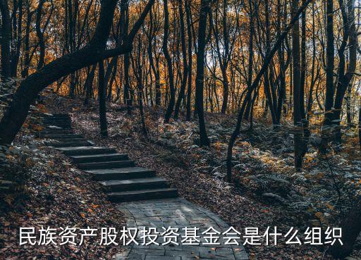 民族資產股權投資基金會是什么組織