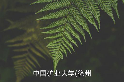 中國礦業(yè)大學(徐州