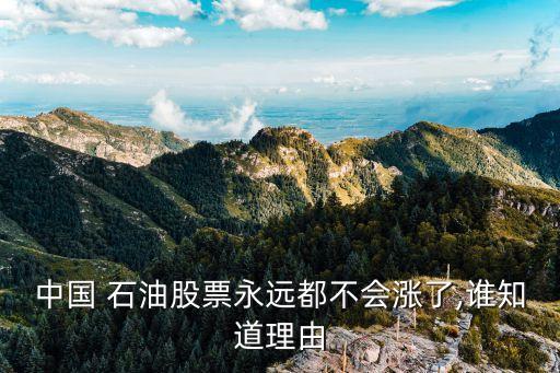 中國 石油股票永遠(yuǎn)都不會(huì)漲了,誰知道理由