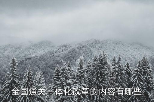 全國通關一體化改革的內容有哪些