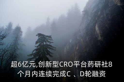 超6億元,創(chuàng)新型CRO平臺藥研社8個月內連續(xù)完成C 、D輪融資
