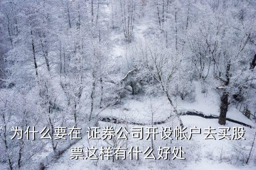 為什么要在 證券公司開設帳戶去買股票這樣有什么好處