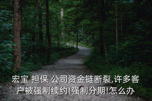宏寶 擔(dān)保 公司資金鏈斷裂,許多客戶(hù)被強(qiáng)制續(xù)約!強(qiáng)制分期!怎么辦