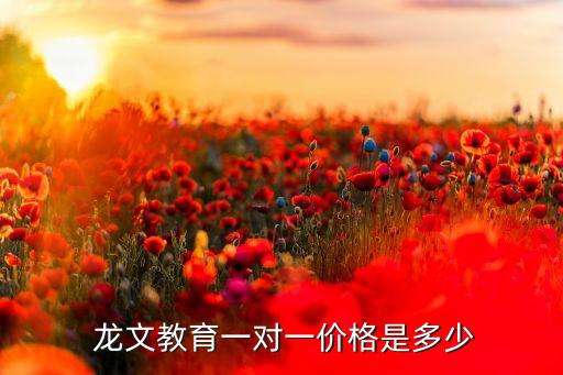 龍文退費北京,北京龍文教育機(jī)構(gòu)地址