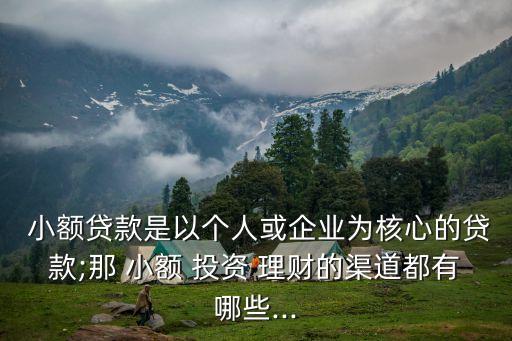  小額貸款是以個(gè)人或企業(yè)為核心的貸款;那 小額 投資 理財(cái)?shù)那蓝加心男?..