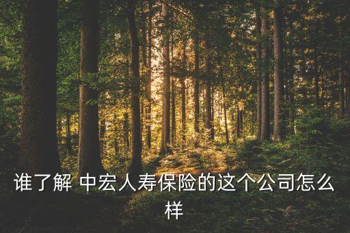 中宏保險股票代碼
