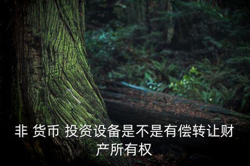 非 貨幣 投資設(shè)備是不是有償轉(zhuǎn)讓財產(chǎn)所有權(quán)