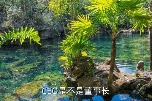 上?；ㄆ旒瘓F(tuán)總裁是誰
