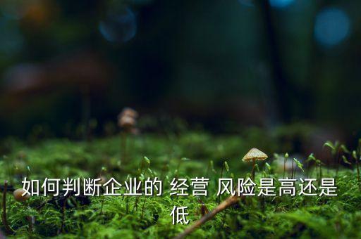 如何判斷企業(yè)的 經(jīng)營 風(fēng)險(xiǎn)是高還是低