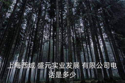上海西域 盛元實(shí)業(yè)發(fā)展 有限公司電話是多少