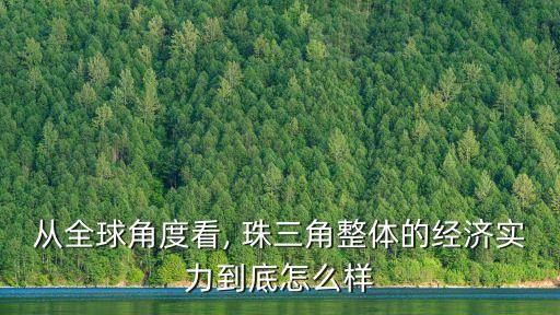 從全球角度看, 珠三角整體的經(jīng)濟(jì)實(shí)力到底怎么樣