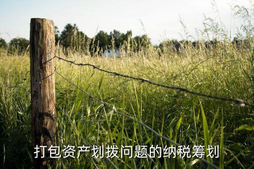 打包資產(chǎn)劃撥問題的納稅籌劃