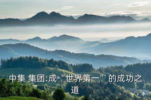 中集集團(tuán)下屬公司