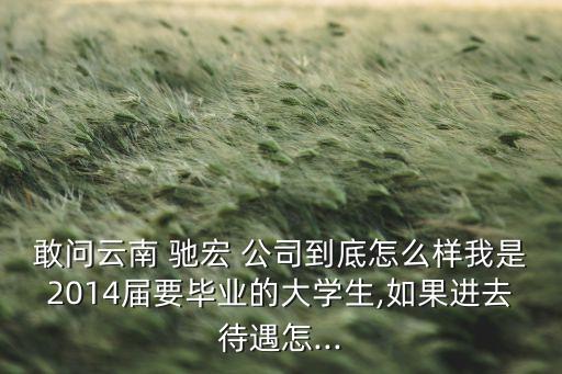 敢問云南 馳宏 公司到底怎么樣我是2014屆要畢業(yè)的大學(xué)生,如果進(jìn)去待遇怎...