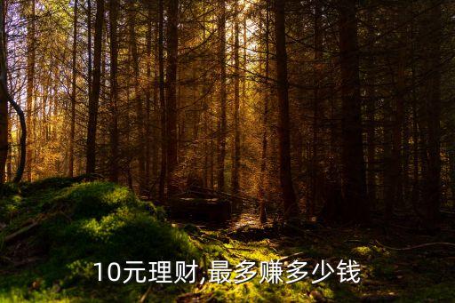 10元理財(cái),最多賺多少錢