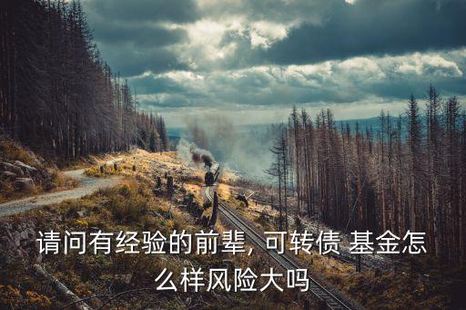 請(qǐng)問(wèn)有經(jīng)驗(yàn)的前輩, 可轉(zhuǎn)債 基金怎么樣風(fēng)險(xiǎn)大嗎