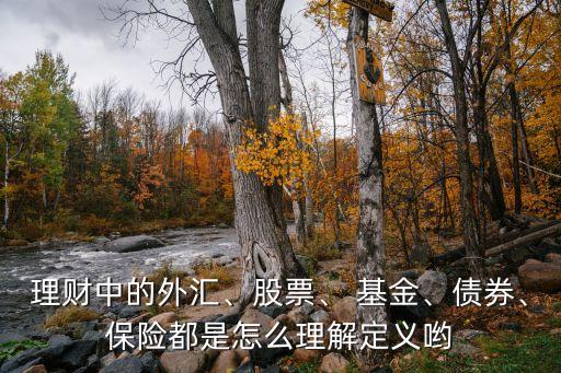 理財(cái)中的外匯、股票、 基金、債券、保險(xiǎn)都是怎么理解定義喲