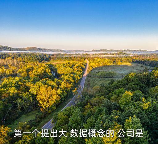 第一個(gè)提出大 數(shù)據(jù)概念的 公司是