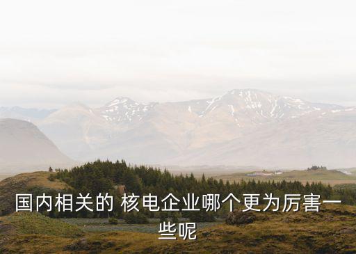 國(guó)內(nèi)相關(guān)的 核電企業(yè)哪個(gè)更為厲害一些呢
