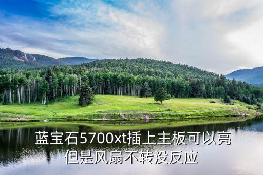  藍寶石5700xt插上主板可以亮但是風(fēng)扇不轉(zhuǎn)沒反應(yīng)