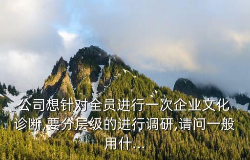  公司想針對全員進行一次企業(yè)文化 診斷,要分層級的進行調(diào)研,請問一般用什...