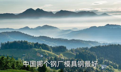 東北特鋼集團(tuán)董事會(huì)成員,大連東北特鋼集團(tuán)現(xiàn)在是什么企業(yè)
