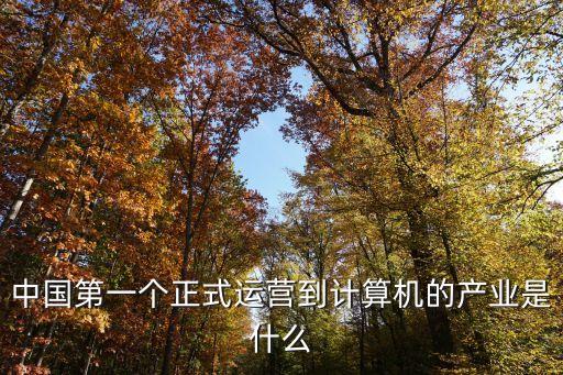 中國集成控股