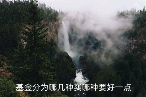  基金分為哪幾種買(mǎi)哪種要好一點(diǎn)