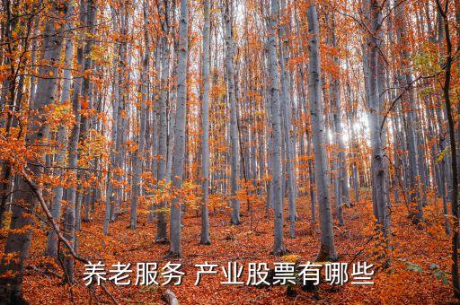 養(yǎng)老服務(wù) 產(chǎn)業(yè)股票有哪些