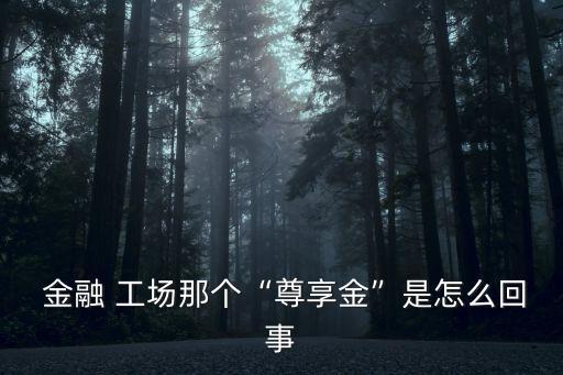 金融工場深圳公司