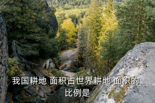 我國耕地 面積占世界耕地 面積的 比例是