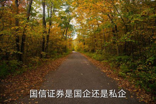 上海司度貿易公司融資融券