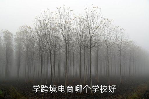 學(xué)跨境電商哪個學(xué)校好