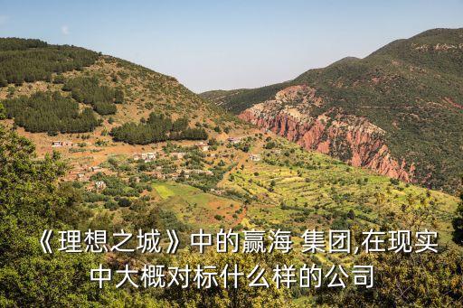 《理想之城》中的贏海 集團(tuán),在現(xiàn)實中大概對標(biāo)什么樣的公司