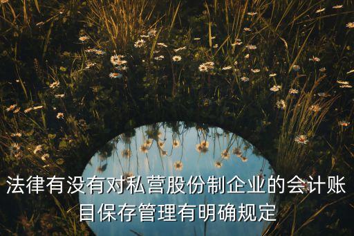 法律有沒有對(duì)私營股份制企業(yè)的會(huì)計(jì)賬目保存管理有明確規(guī)定