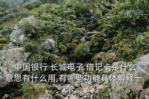  中國(guó)銀行 長(zhǎng)城電子 借記卡是什么意思有什么用,有哪些功能具體解釋一下...