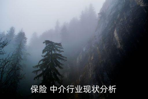 2015年保險(xiǎn)專(zhuān)業(yè)中介公司數(shù)量