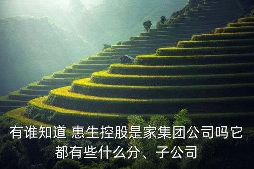 有誰知道 惠生控股是家集團公司嗎它都有些什么分、子公司