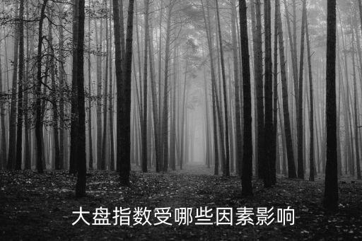  大盤(pán)指數(shù)受哪些因素影響