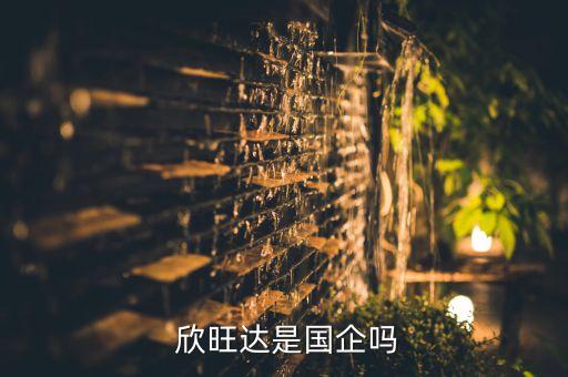  欣旺達(dá)是國企嗎