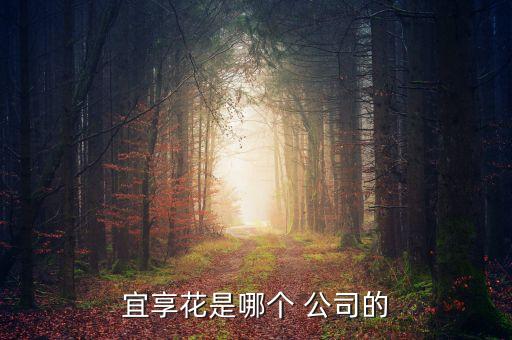 貸款公司運(yùn)營(yíng)