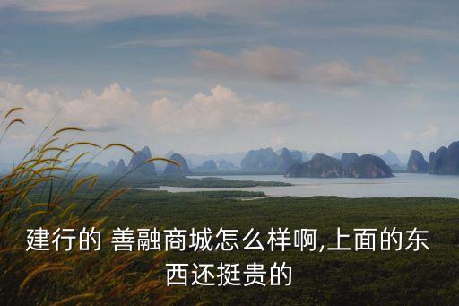 建行的 善融商城怎么樣啊,上面的東西還挺貴的