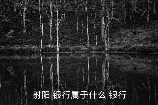  射陽(yáng) 銀行屬于什么 銀行