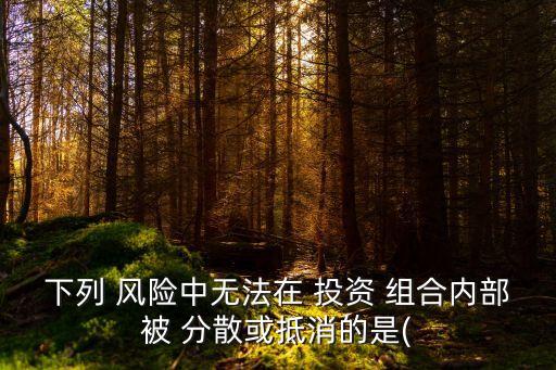 下列 風(fēng)險中無法在 投資 組合內(nèi)部被 分散或抵消的是(