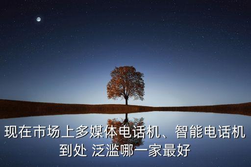 現(xiàn)在市場(chǎng)上多媒體電話機(jī)、智能電話機(jī)到處 泛濫哪一家最好